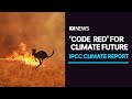 Climate change report a 'code red for humanity', United Nations chief warns | ABC News