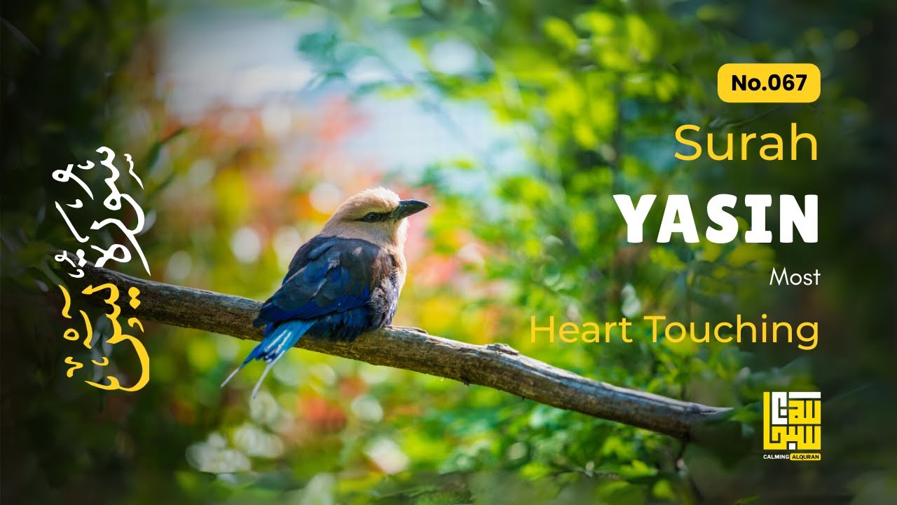 Surah Yasin (Yaseen) سورة يس Full Recitation ✦ Calming Recitation to Relieve Stress ✦ Qur'an Recitat