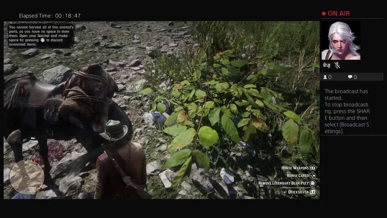 Photo Help Rdr2 Mission Rdr2 missions - YouTube