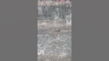 Take a break from scrolling with Heavy Rain & Sleep Better! #shorts