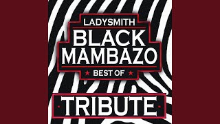 Liphi Qiniso