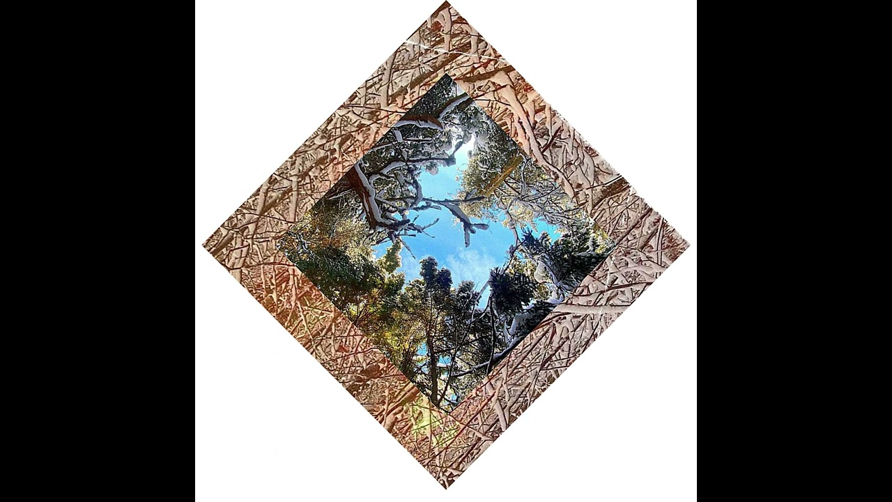 Samual Turner - NN-DMT