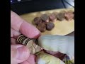  i get so excited when i find copper pennies click below to watch long format ep 107