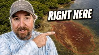 How To Use Smart Fishing Spots All Year (Quickly Find Redfish and Trout)