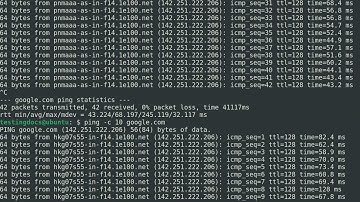 Linux ping command #testingdocs
