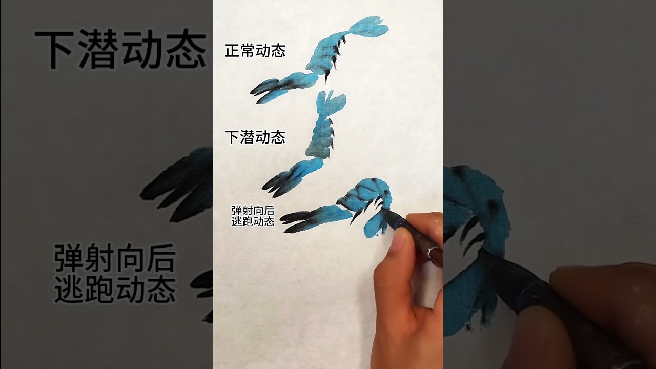 国画写意入门教程，河虾三种动态记得收藏！