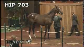 Zenyatta at the 2005 September Yearling Sale