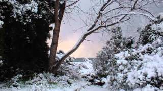 Steve Hackett - Song to nature.wmv