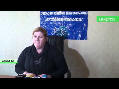 ინგა ქარდავას ბრიფინგი