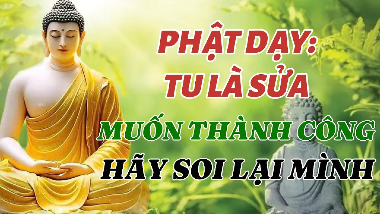 Đừng Đi Tìm Phật Phương Xa: Hành Trình Quay Vào Bên Trong Để Thay Đổi Vận Mệnh