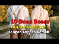 10 Dosa Istri Kepada Suami Yang Paling Dibenci Allah | Kepada Para Istri Hindari Hal Tersebut!!