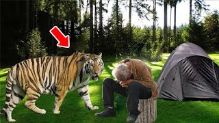 The Tigress Kept Roaring At The Man. Then He Realizes What Happened To Her...