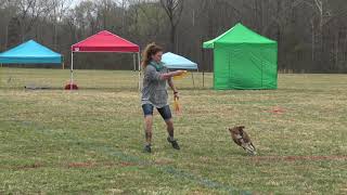 Apryl Lea And Lanai Freestyle Lcq Updif 2019