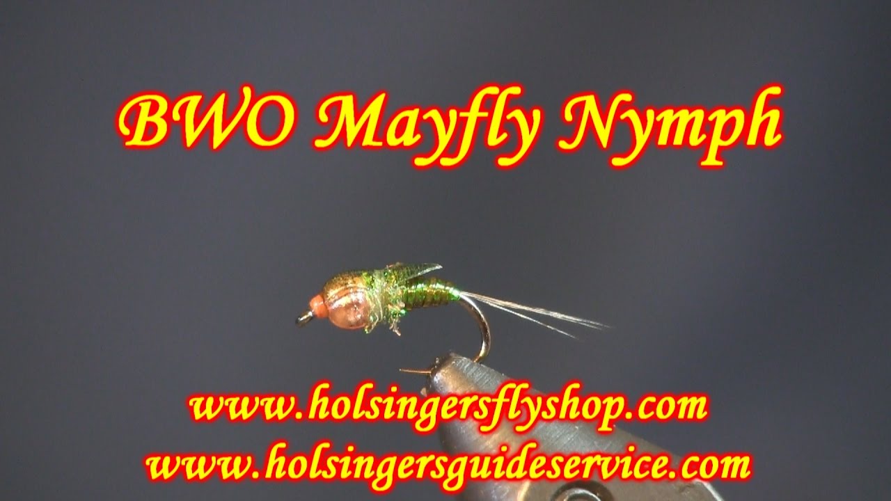 BWO Mayfly Nymph, Holsinger's Fly Shop