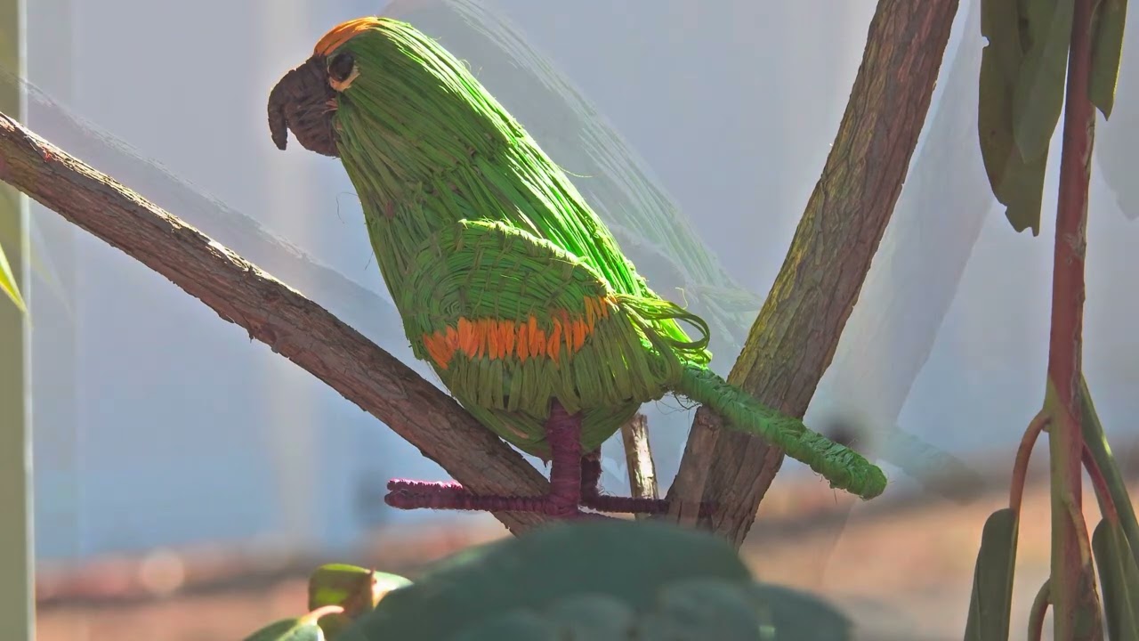 Lighting Challenges and Solutions: Point and Shoot Nature Photography.