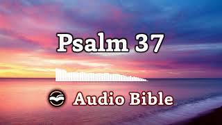 24/7 Psalms Livestream