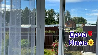 картинка: На даче. Сад,цветы,я и красивая песня🙏❤️🌸