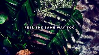 Stase - Feel The Same Way Too [FREE DOWNLOAD]// NCS