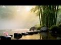 Body to Body Spa Massage Sleep Stream with Piano Relaxation and Brain Therapy for Deep Sleep