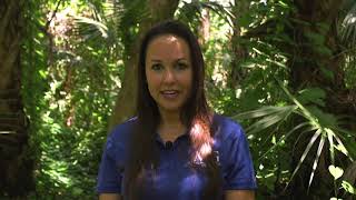 Benefits of Mitigation Banking vs. Offsite/Onsite Mitigation