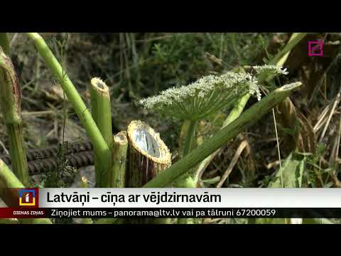 Video: Ukrainas Dieva tridents Neptūns