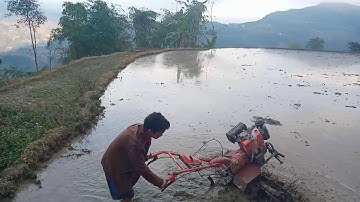 Đi cày con bò đỏ nói tiếng nùng cực hài