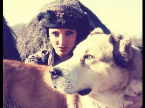 Ana Malazonia   Magnolia ❤ ანა მალაზონია   მაგნოლია