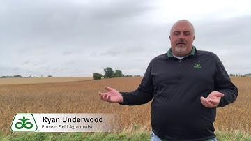 Soybean Sudden Death Syndrome