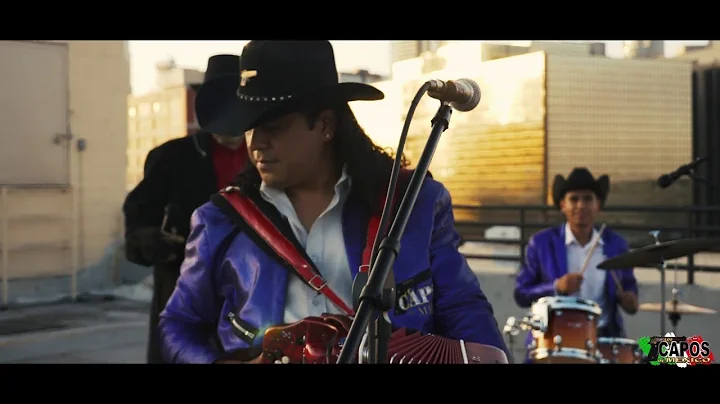 Los Capos de Mexico -  La Canelera En Vivo desde L...