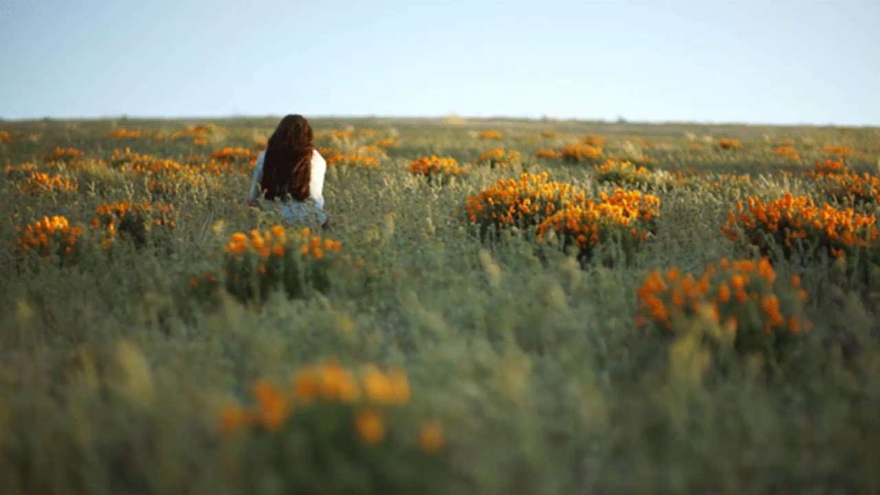 Sen Gel Diyorsun  - öf öf (cover)