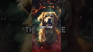 Which Dog Breeds X Zodiac Signs Part 1 | #Dogvideo #Doglovers #Aivideoart