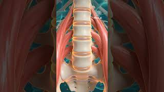 XLIF vs OLIF Spine Surgery From the Side