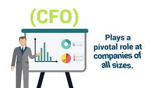 Interim CFO Services For Your Business