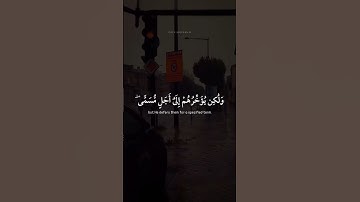 اكتب شي تؤجر عليه 🤎 | القارئ عبدالرحمن مسعد | قرآن كريم