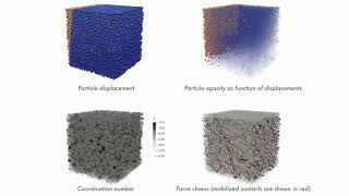 Shear tests on polydisperse packings