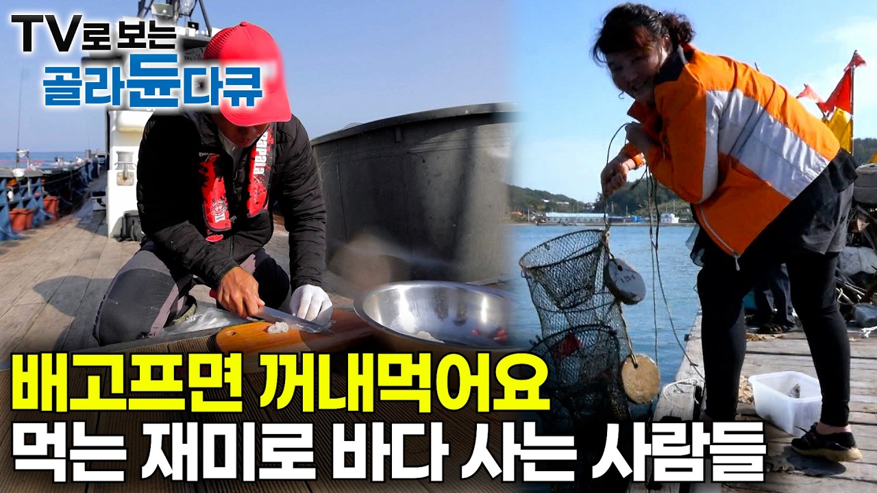 물고기 잡아서 회 먹으려고 배를 사버린 아들 vs 남편 배고프면 문어 건져오는 아내이 맛에 바다에 산다｜밥에 진심, 밥 먹으려고 바다에 사는 사람들｜한국기행｜#골라듄다큐