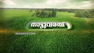 മട്ടുപ്പാവ് കൃഷി| K.Gopalakrishnan