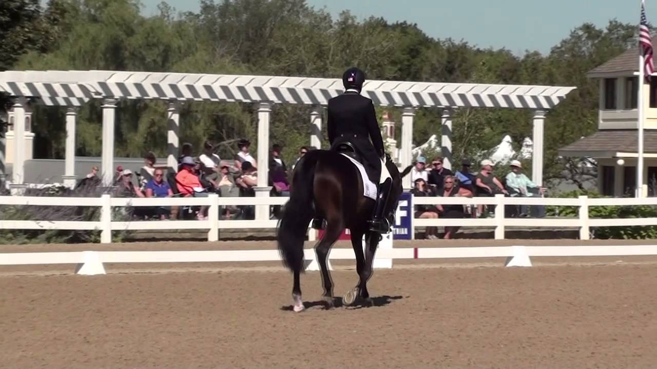 Cesar and Fashion Nacionals 2015