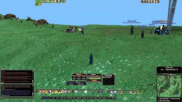 Dark Age of Camelot HIBS POWER LEVELING @ PICTS