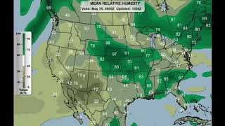 SUNDAY! May 25 : Florida Aviation Weather Discussion #meteorology #weather #aviation