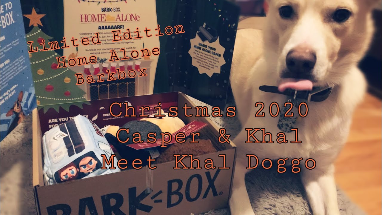 Limited Edition Home Alone Barkbox December 2020 🎄
