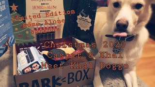 Limited Edition Home Alone Barkbox December 2020 🎄