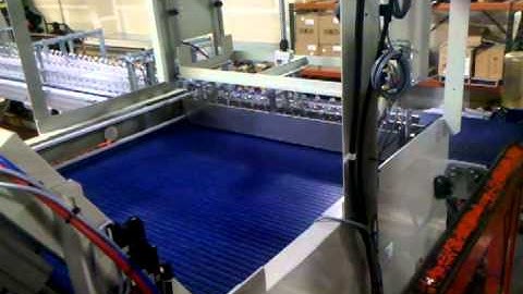 Palletizer Conveyor