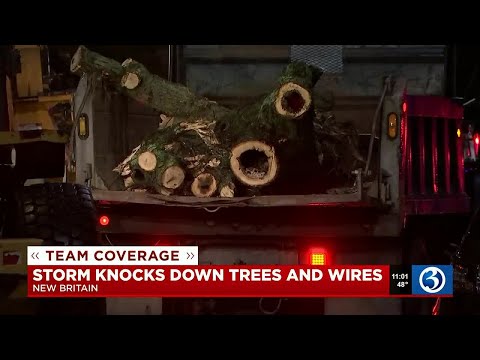 Over 10,000 outages reported across the state as heavy rain, wind gusts hit CT