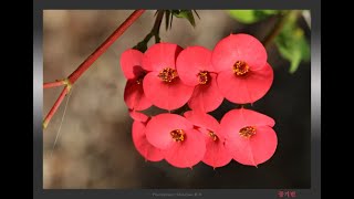 블소레볼루션 고대 천유궁 돌아보아요 비무도 합니다