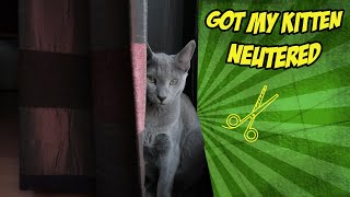 CAT NEUTERING VLOG by Ashwin Ramdin 3,361 views 3 years ago 8 minutes, 16 seconds