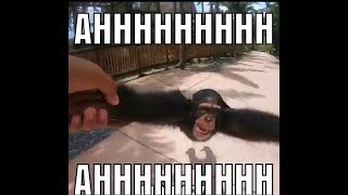 Celebrity Breakcore's drop breaking my connection in mw2 Profile