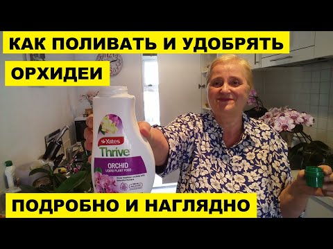 КАК ПОЛИВАТЬ и