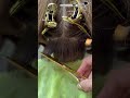 上品なグラボブ/bob #hair #hairstyles #헤어컷#단발