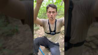 The most venomous spider in the United States